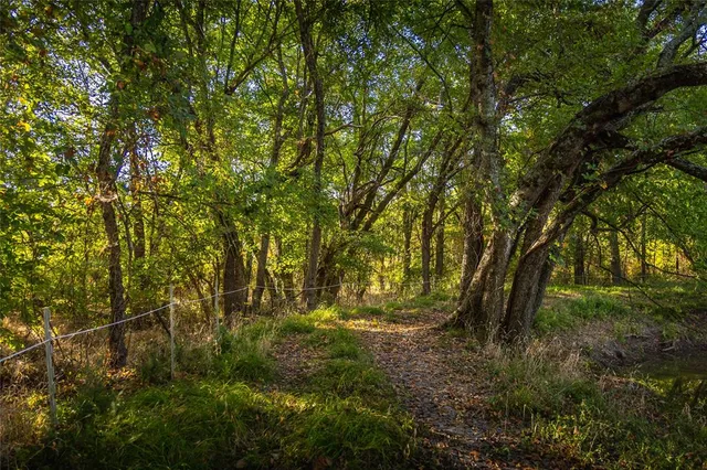 a view of outdoor space and yard