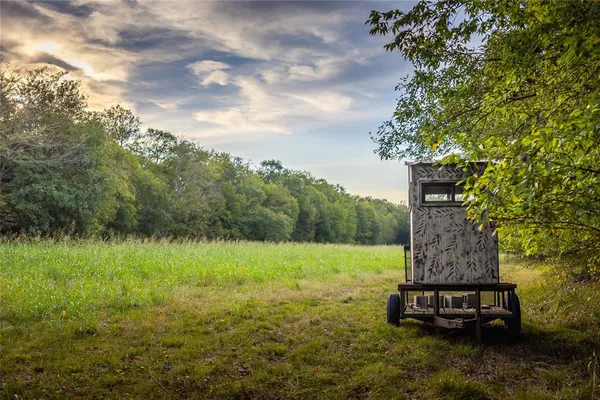 a view of a garden with a fountain