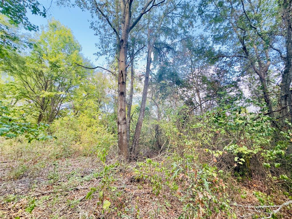 0 Apple Tree Road Gilmer, TX 75644 - Photo 16 of 34 Gallery Image 16