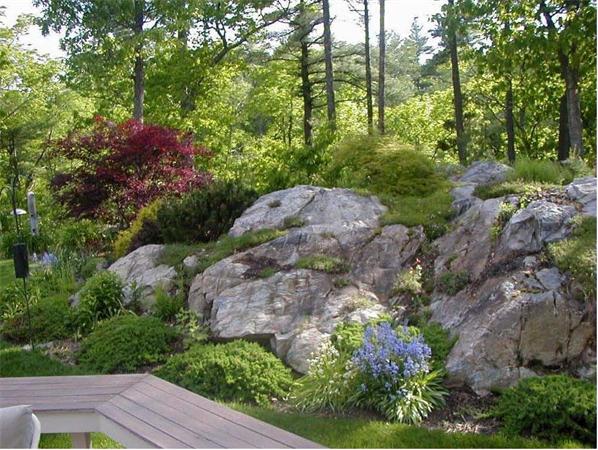 32 Townsend Farm Road Boxford, MA 01921 - Photo 24 of 25 a view of backyard with green space