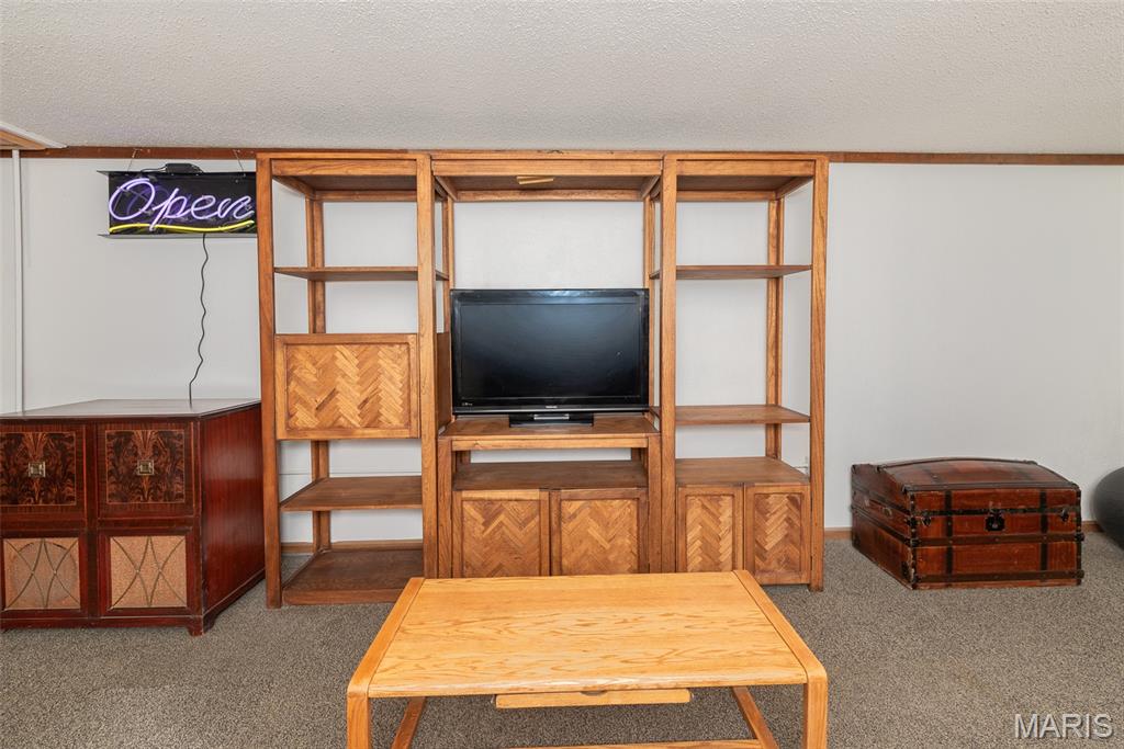 4456 Butler Hill Road St. Louis, MO 63128 - Photo 51 of 74 Gallery Image 51