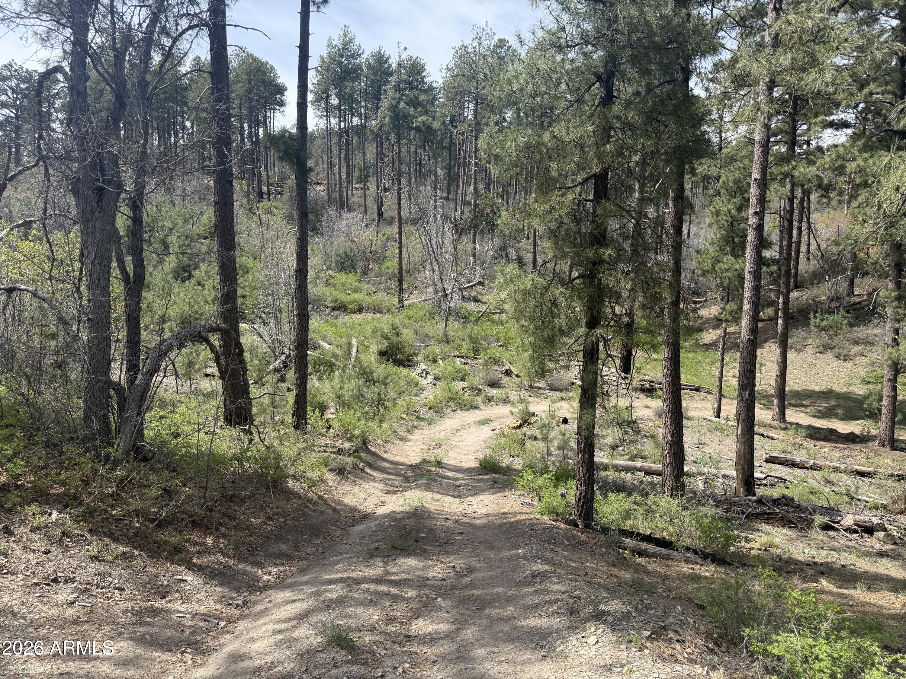 Secluded off grid lot