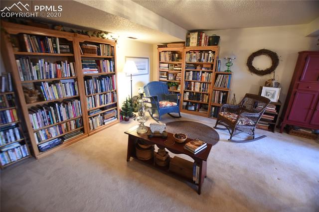1161 Pine Ridge Road Woodland Park, CO 80863 - Photo 32 of 40 Family Room on Lower Level.