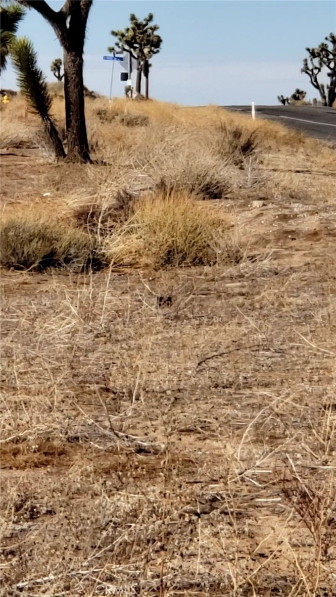 56825 Sun Oro Road Yucca Valley, CA 92284 - Photo 6 of 10 a view of water view