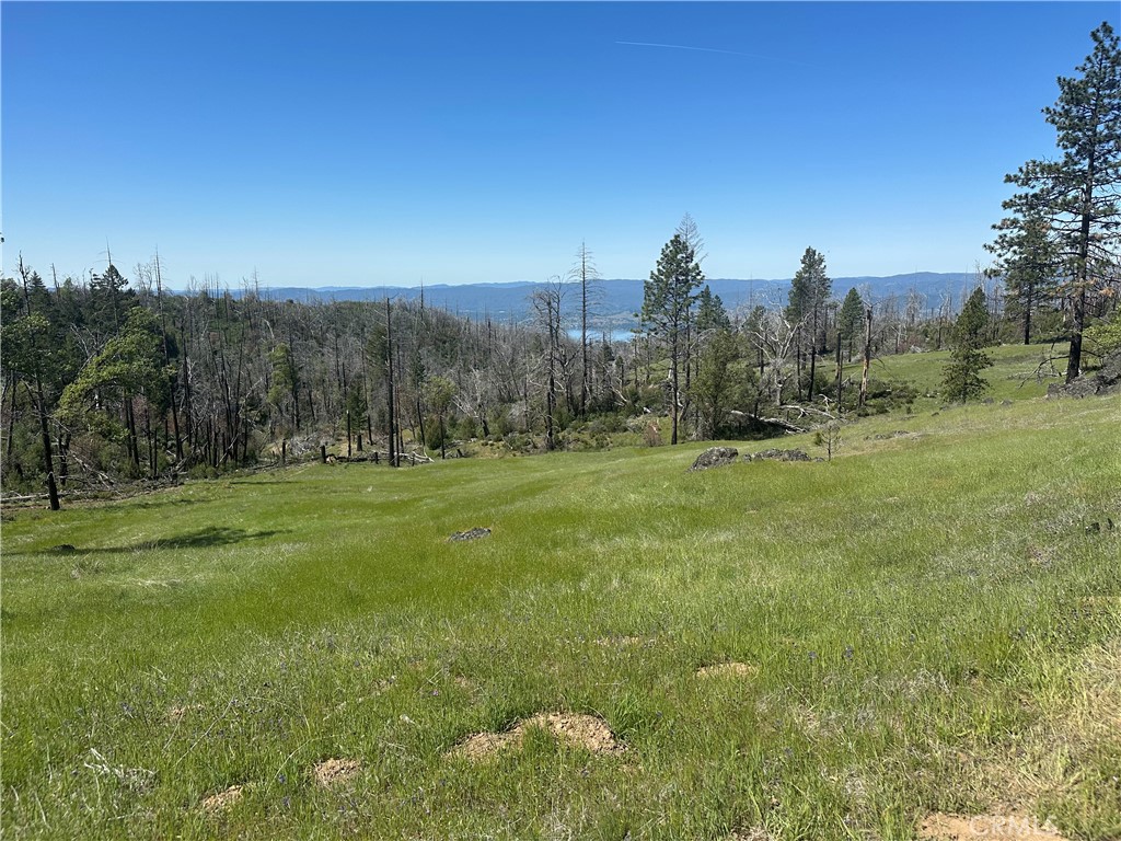 a view of a grassy field with trees in the background