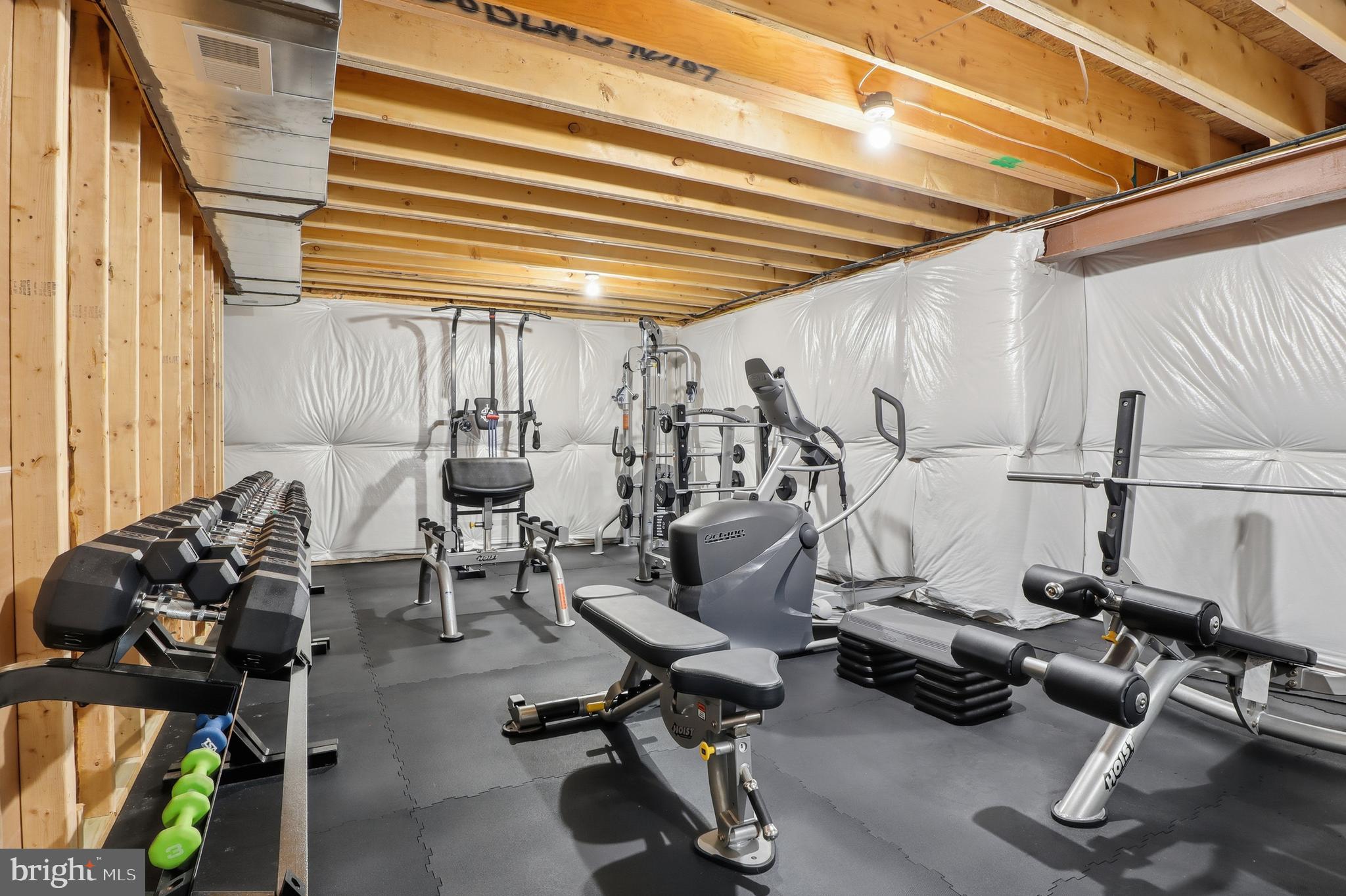 214 Hauer Terrace Spring Grove, PA 17362 - Photo 53 of 81 Bonus area being used as a home gym