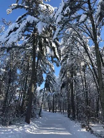 $5,450,000 | 29741 County Road 3, Merrifield, MN 56465