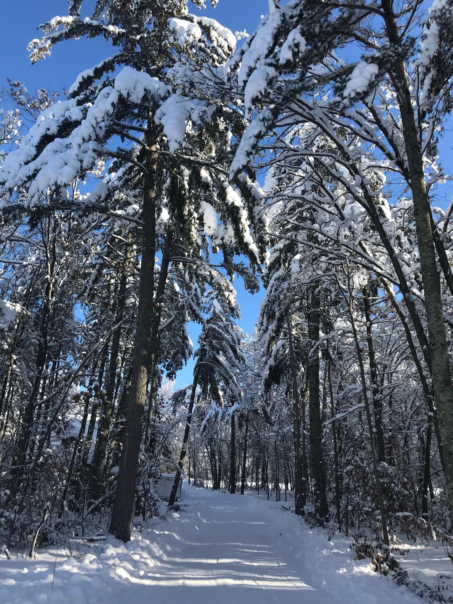 29741 County Road 3 Merrifield, MN 56465 - Photo 83 of 90