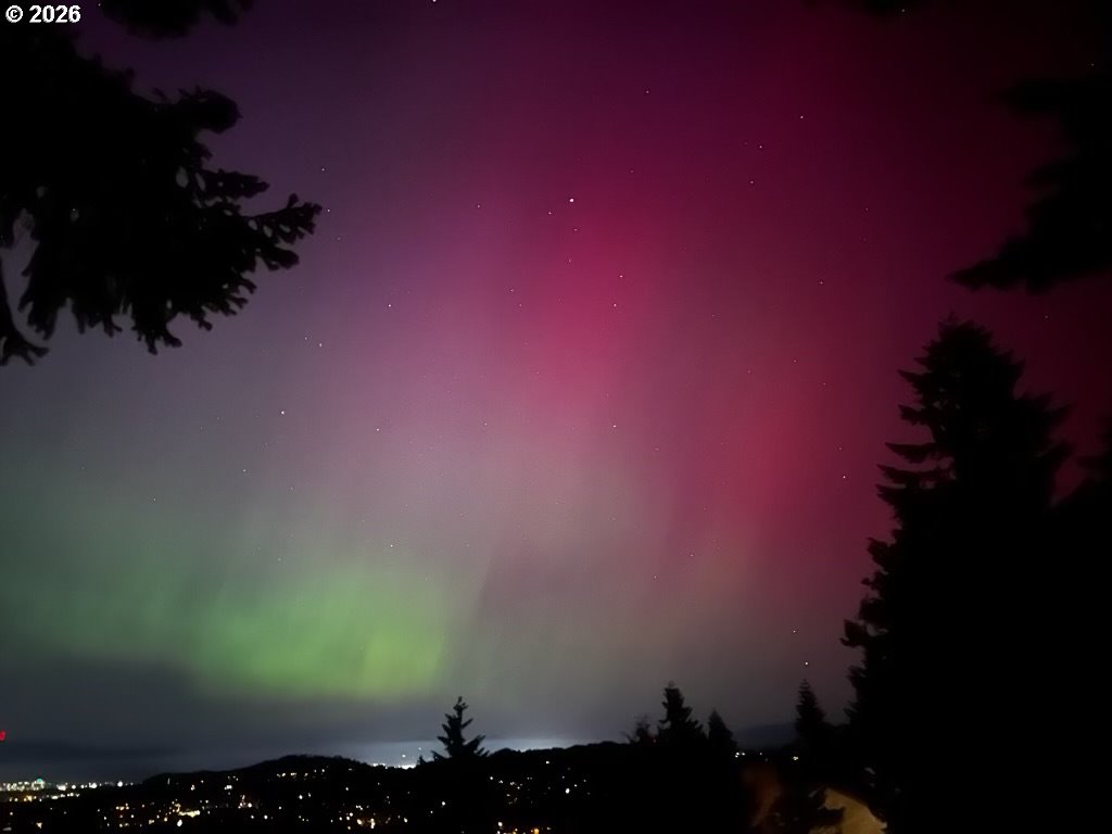 653 Brookside Drive Eugene, OR 97405 - Photo 46 of 48