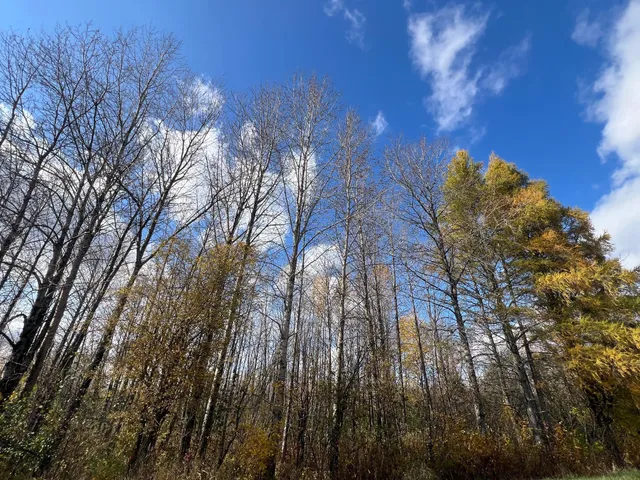 $89,900 | Tbd Fermoy Road, Forbes, MN 55738