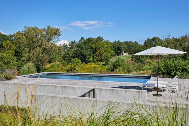 a wooden floor with a tree