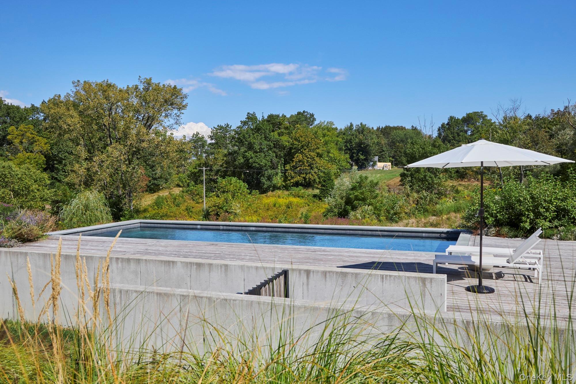 44 Main Street Germantown, NY 12526 - Photo 8 of 34 Outdoor pool featuring a patio