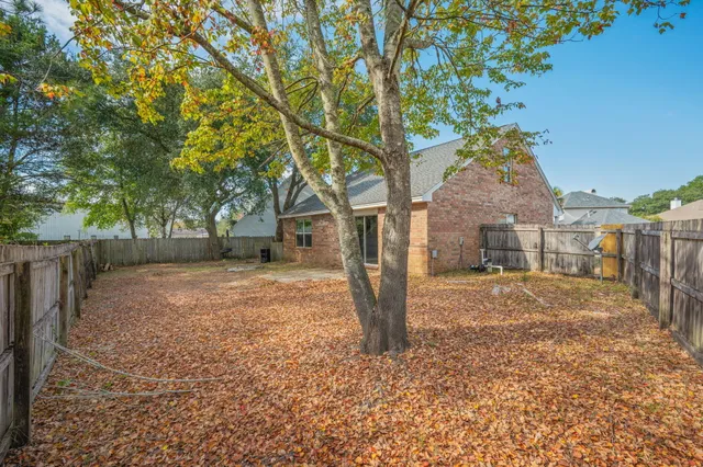 a tree in the middle of a yard