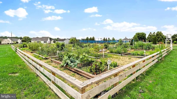 a view of a house with garden and a garden