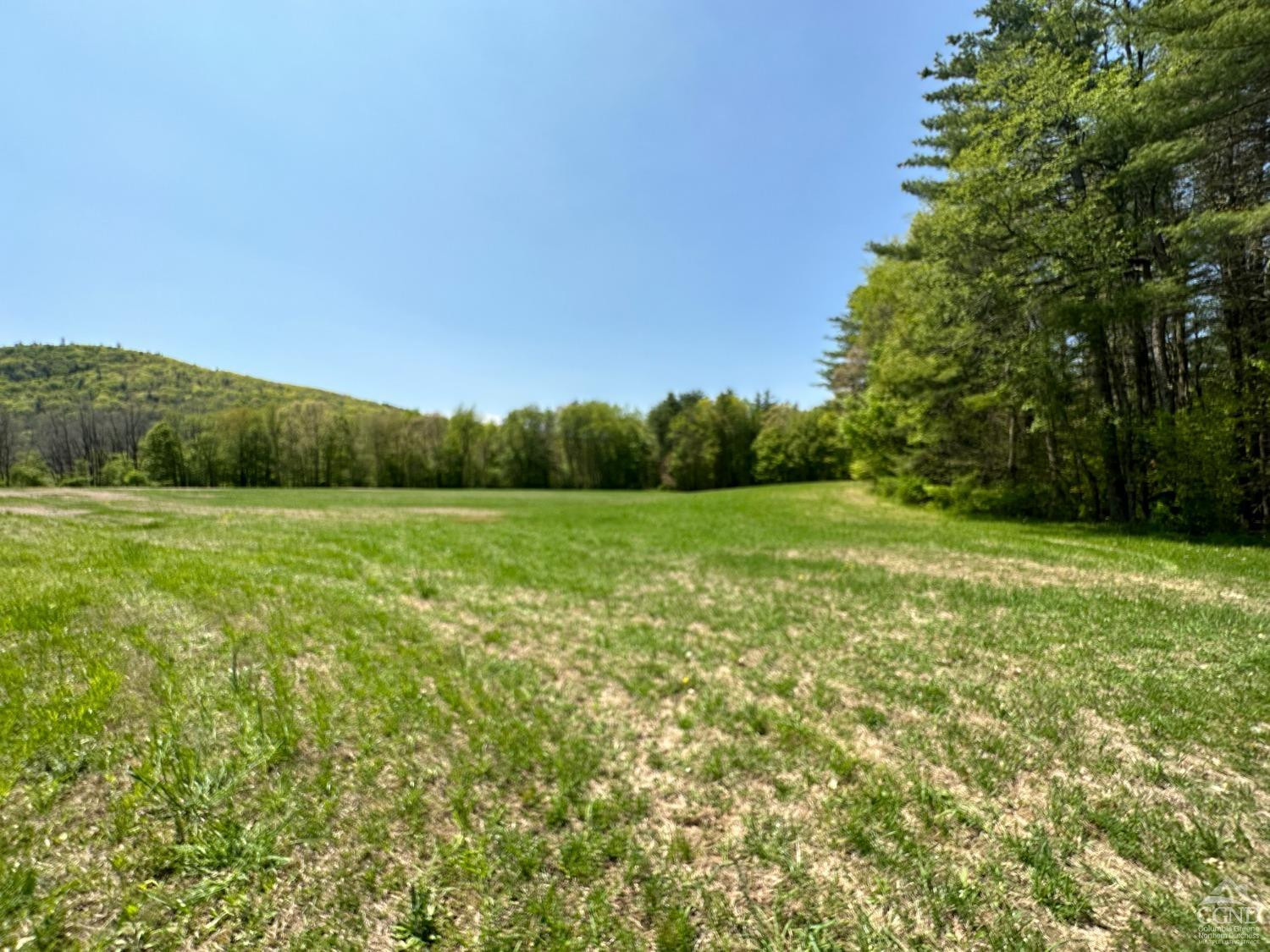 9 County Rte 9 East Chatham, NY 12060 - Photo 3 of 5 a view of a grassy field with a tree in the background