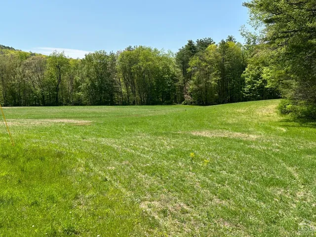 a view of a field with trees in the background