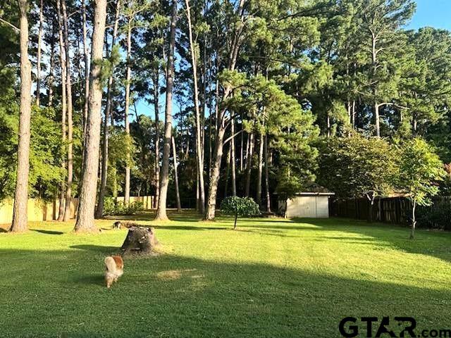 21105 Altuda Lane Flint, TX 75762 - Photo 22 of 45