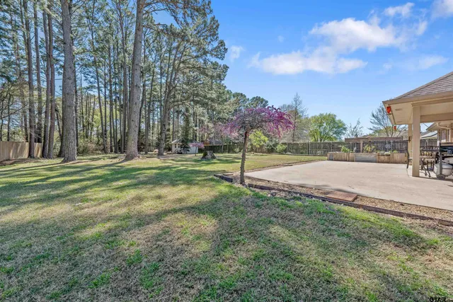 a view of a park with large trees
