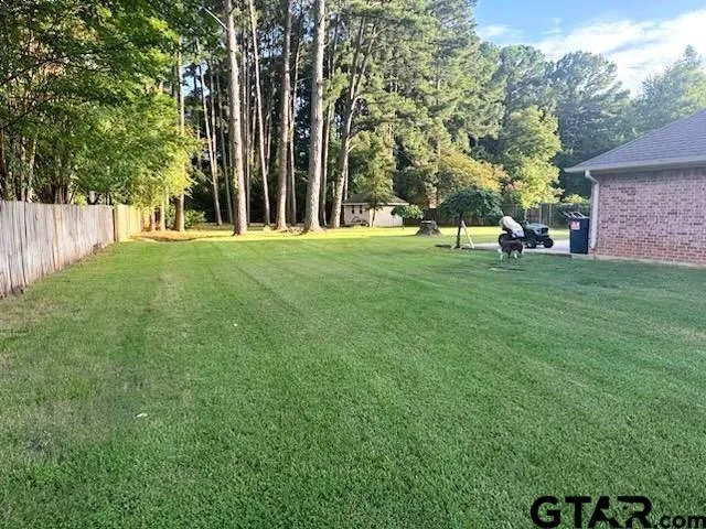 a view of a backyard with large trees