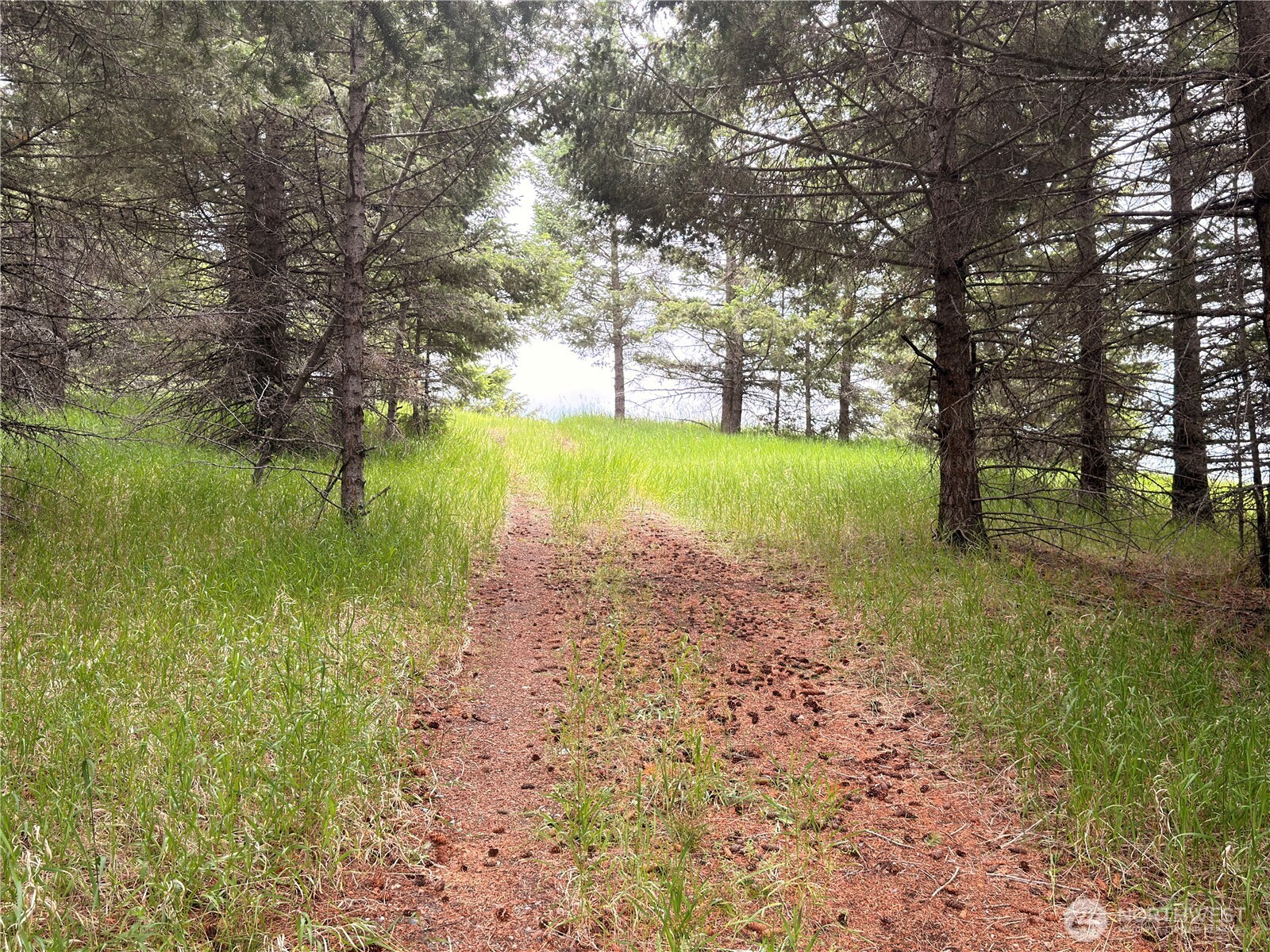 12 South Teal Lake Road Oroville, WA 98844 - Photo 23 of 35