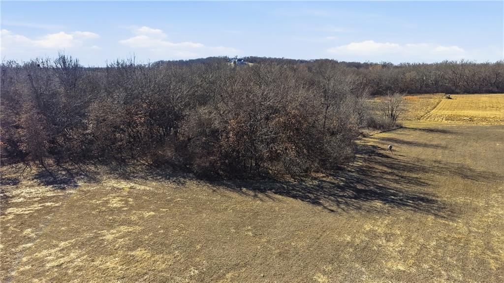 Tract D Northwest 525 Road Holden, MO 64040 - Photo 11 of 13