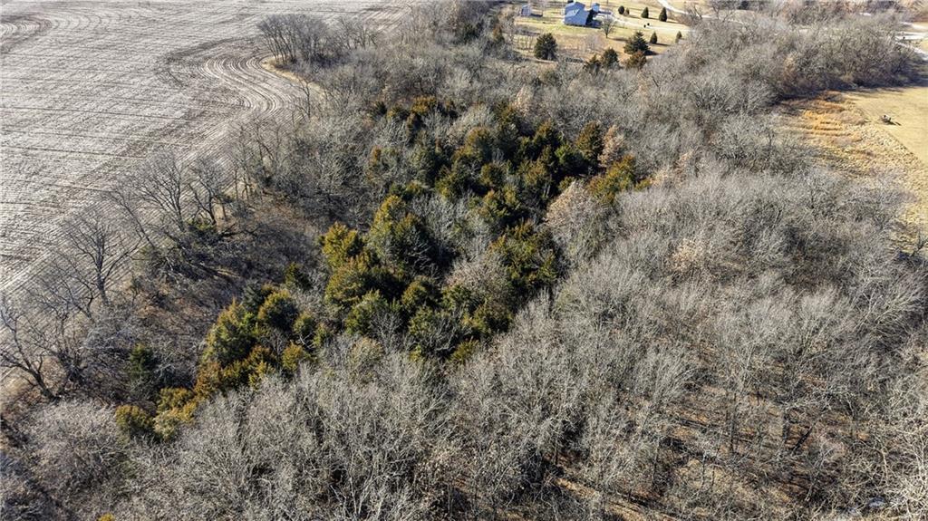 Tract D Northwest 525 Road Holden, MO 64040 - Photo 12 of 13