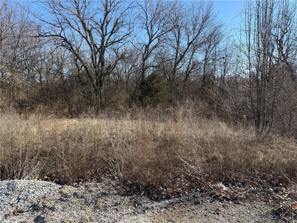 Tract D Northwest 525 Road Holden, MO 64040 - Photo 13 of 13