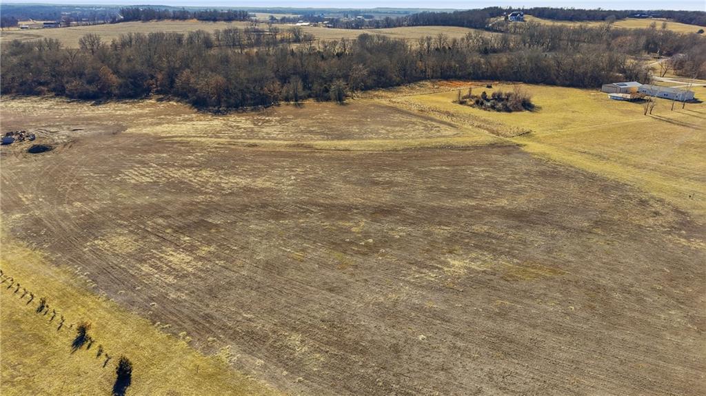 Tract D Northwest 525 Road Holden, MO 64040 - Photo 9 of 13
