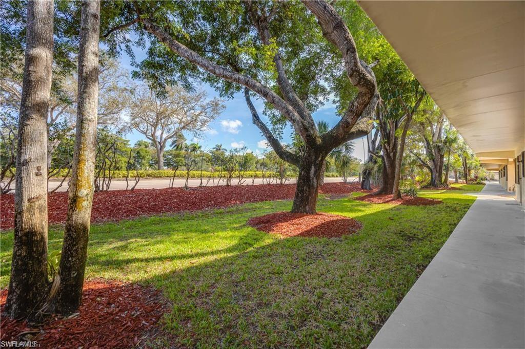 3325 Airport Road North, Unit F3 Naples, FL 34105 - Photo 14 of 15 a view of yard with tree
