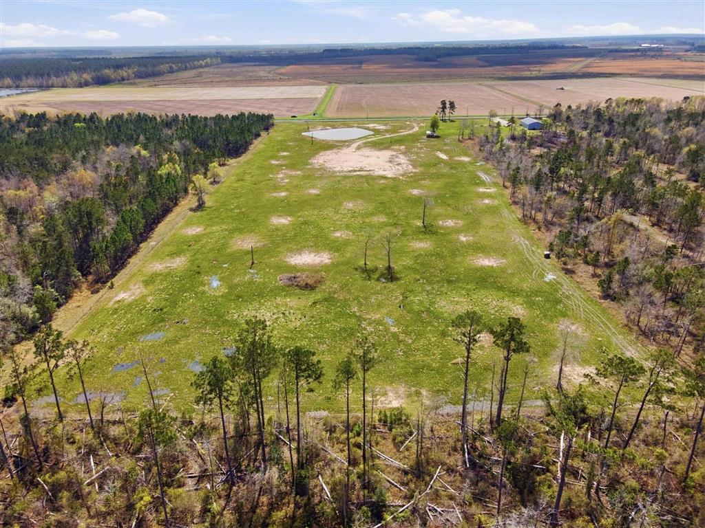 479 Newt Hodges Road Ragley, LA 70657 - Photo 3 of 8