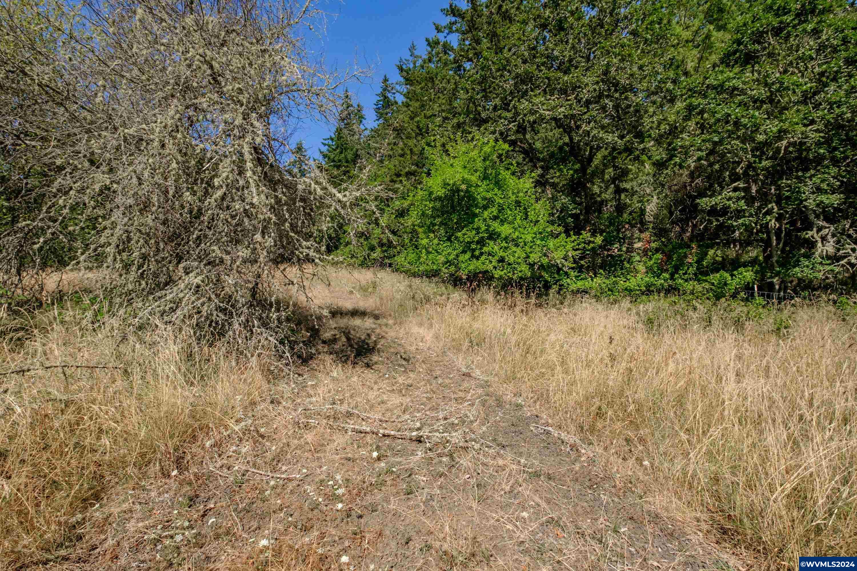 28920 Sheep Head Road Brownsville, OR 97327 - Photo 20 of 32