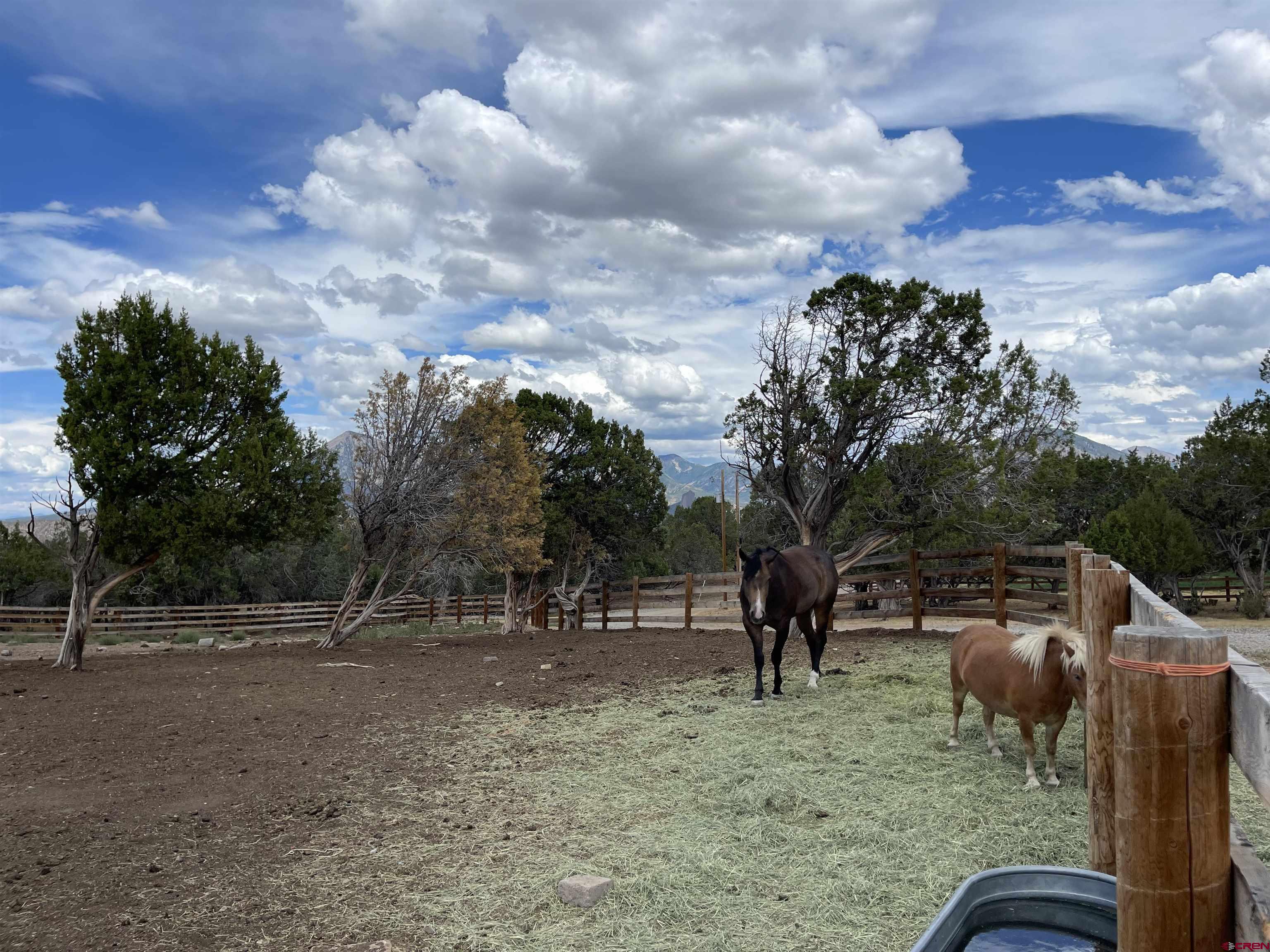 78114 Basalt Road Crawford, CO 81415 - Photo 27 of 35 a view of outdoor space with seating