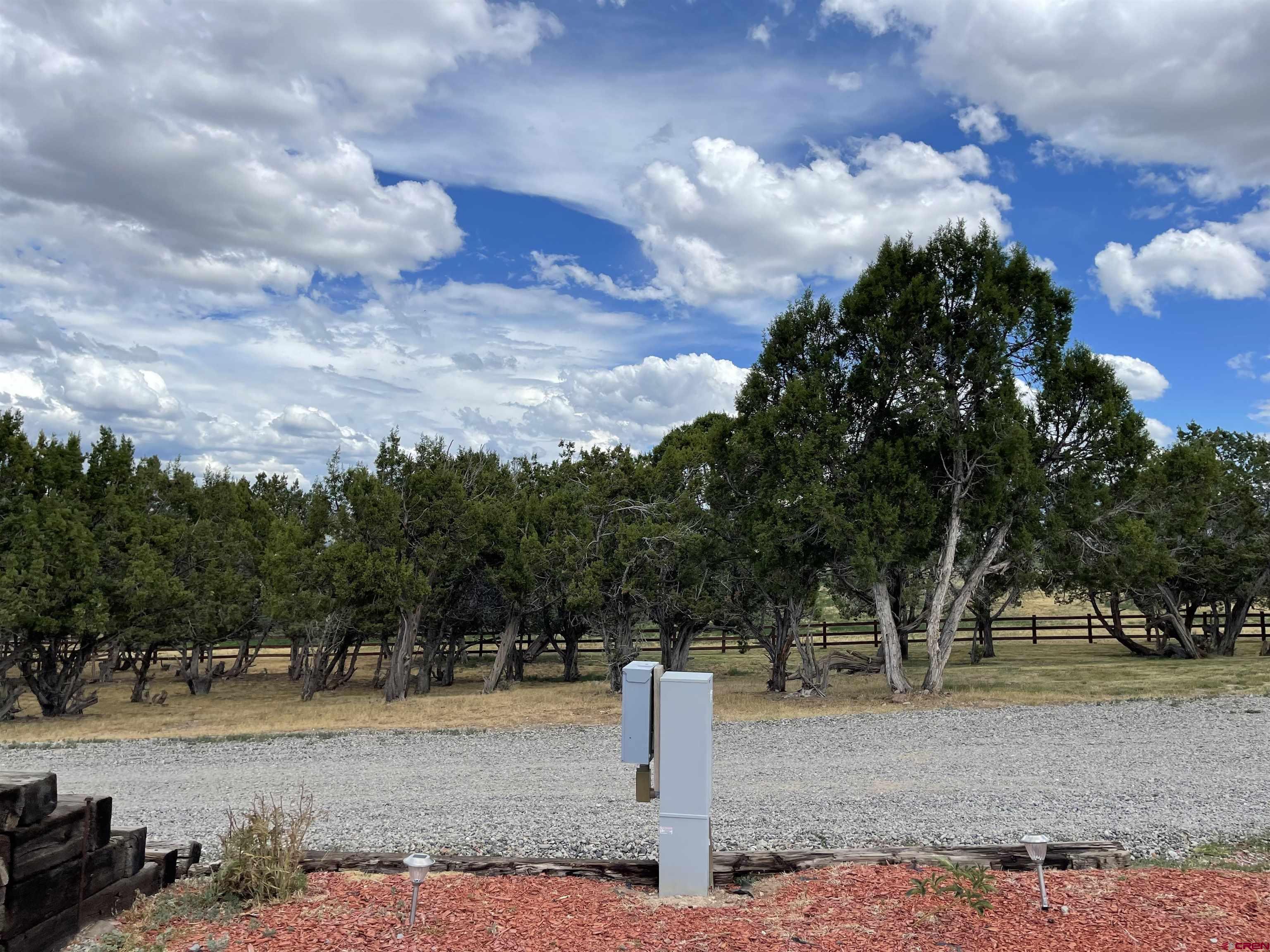 78114 Basalt Road Crawford, CO 81415 - Photo 28 of 35 a view of a park with large trees