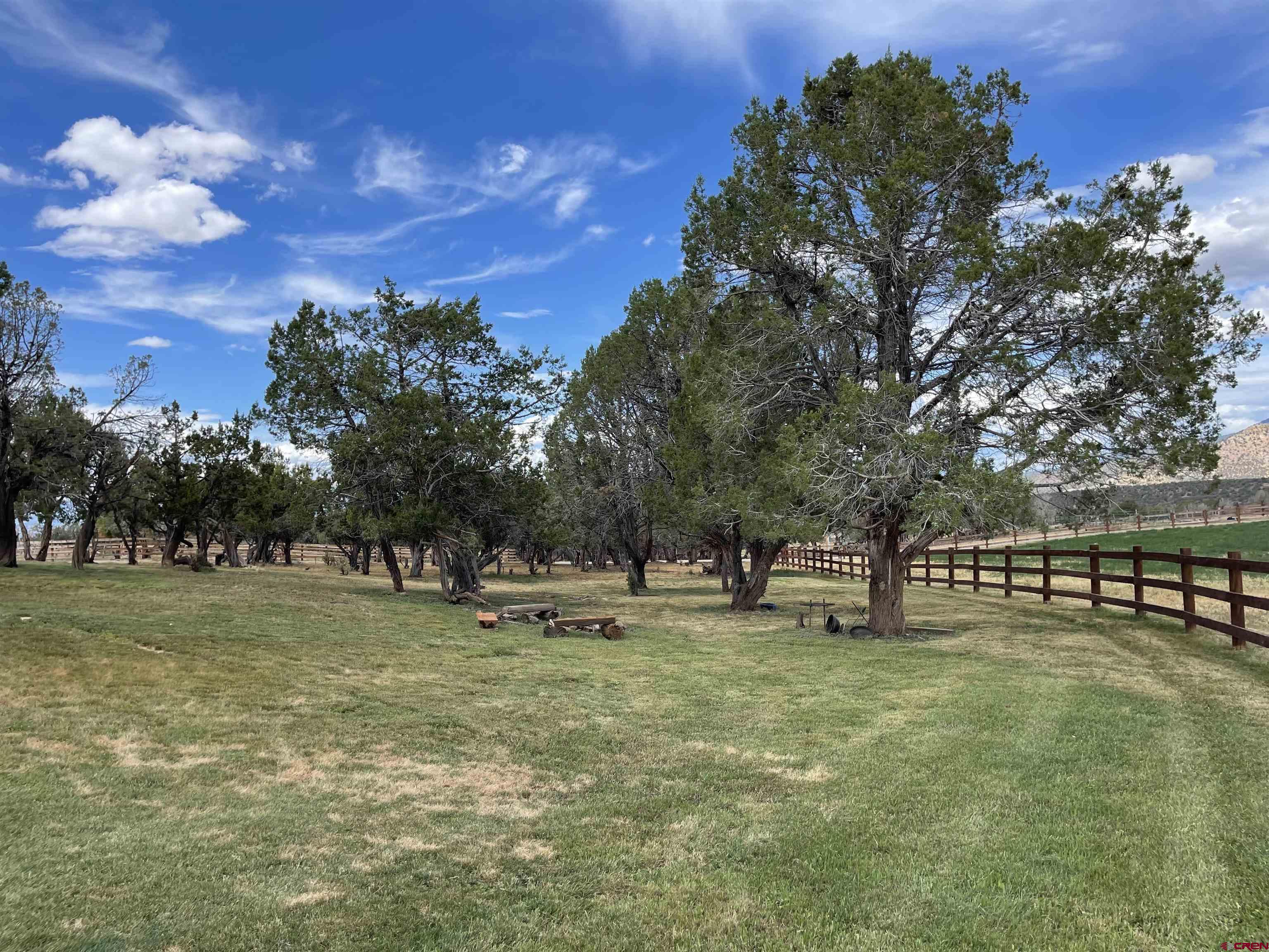 78114 Basalt Road Crawford, CO 81415 - Photo 32 of 35 a view of outdoor space with garden and trees