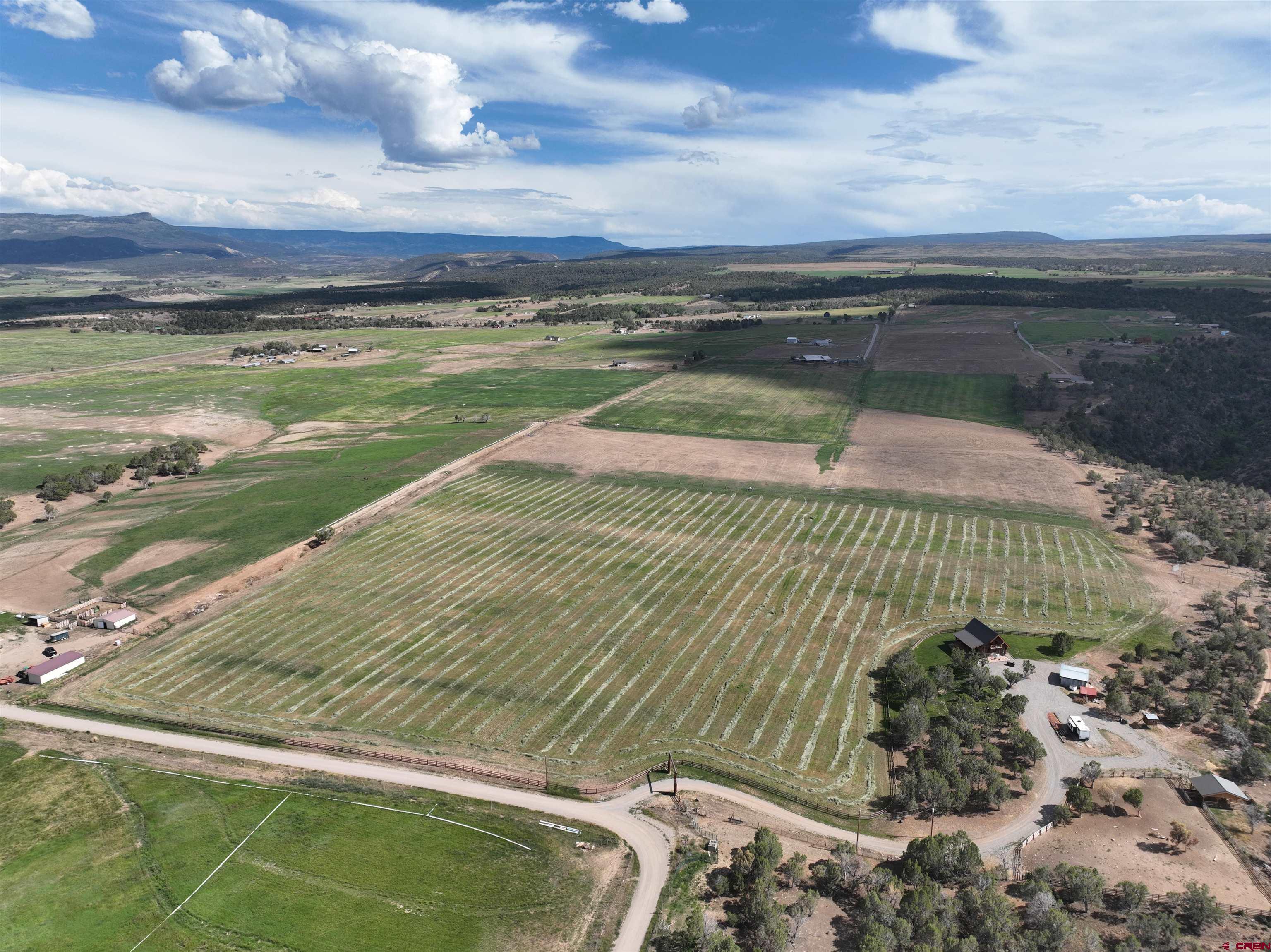 78114 Basalt Road Crawford, CO 81415 - Photo 6 of 35 a view of a swimming pool with a outdoor space