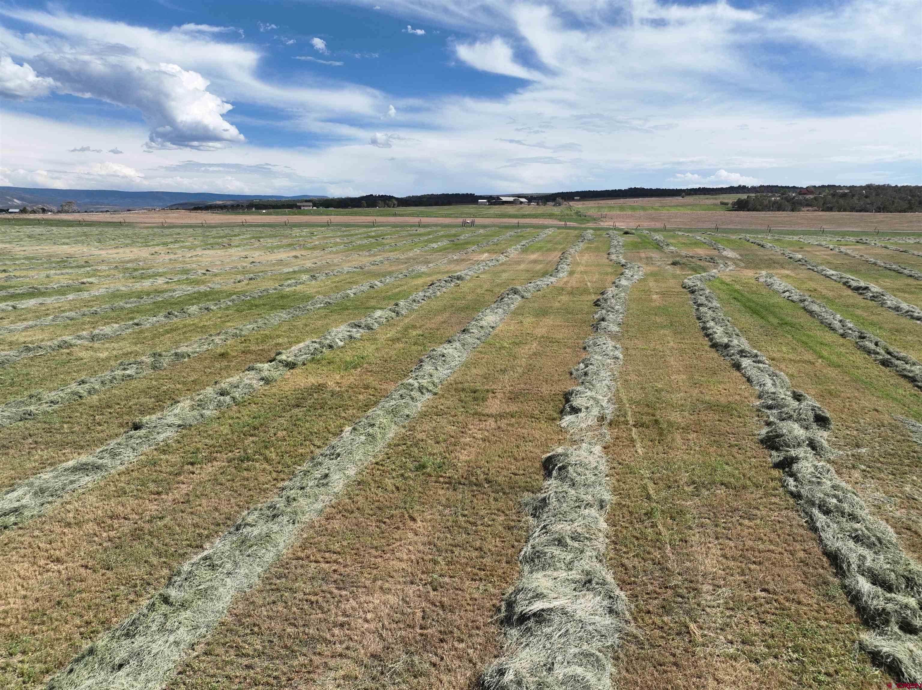 78114 Basalt Road Crawford, CO 81415 - Photo 7 of 35 a view of an ocean of beach
