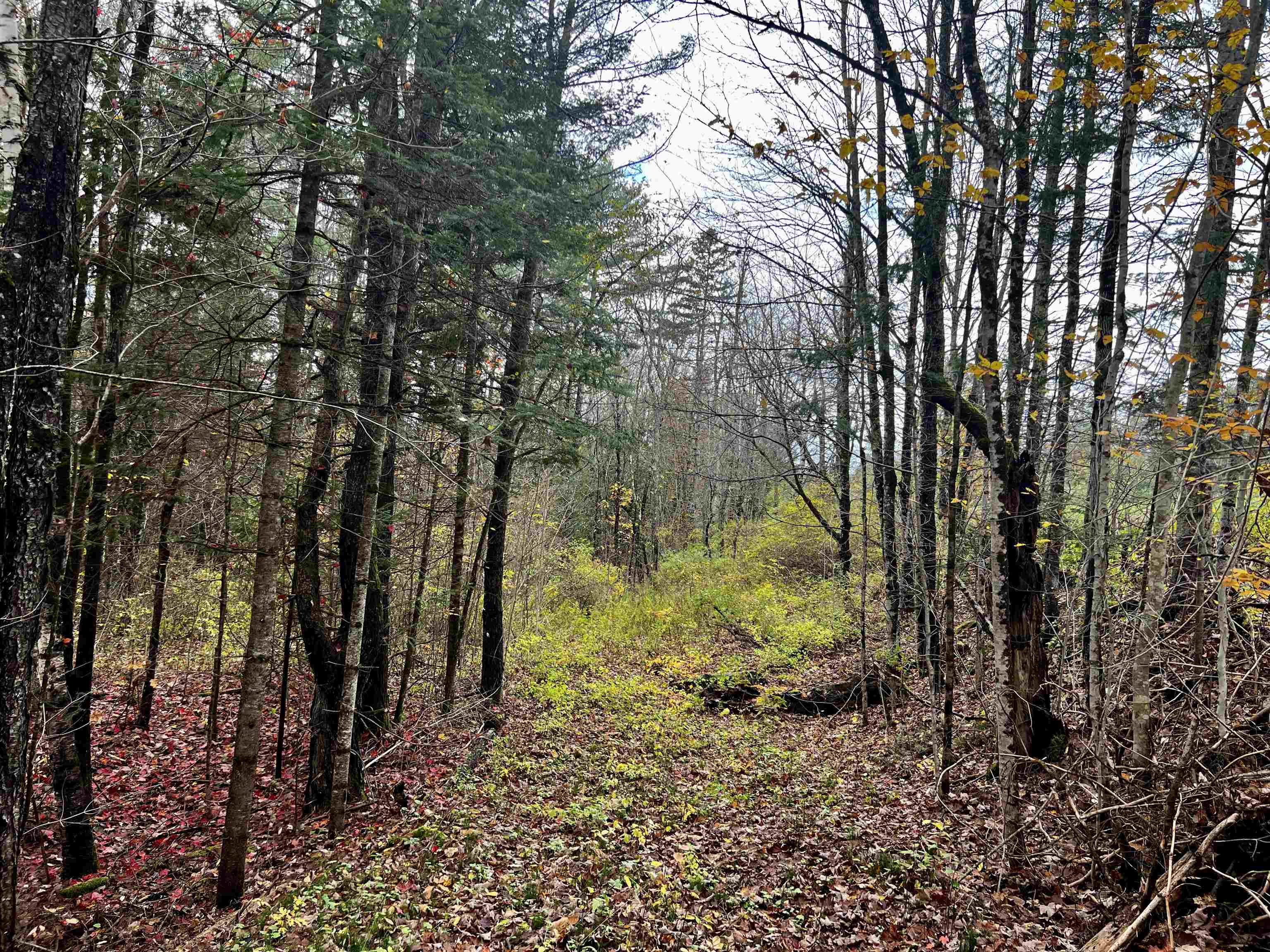 Lot B1 Mountain Road East Burke, VT 05832 - Photo 8 of 9 Gallery Image 8