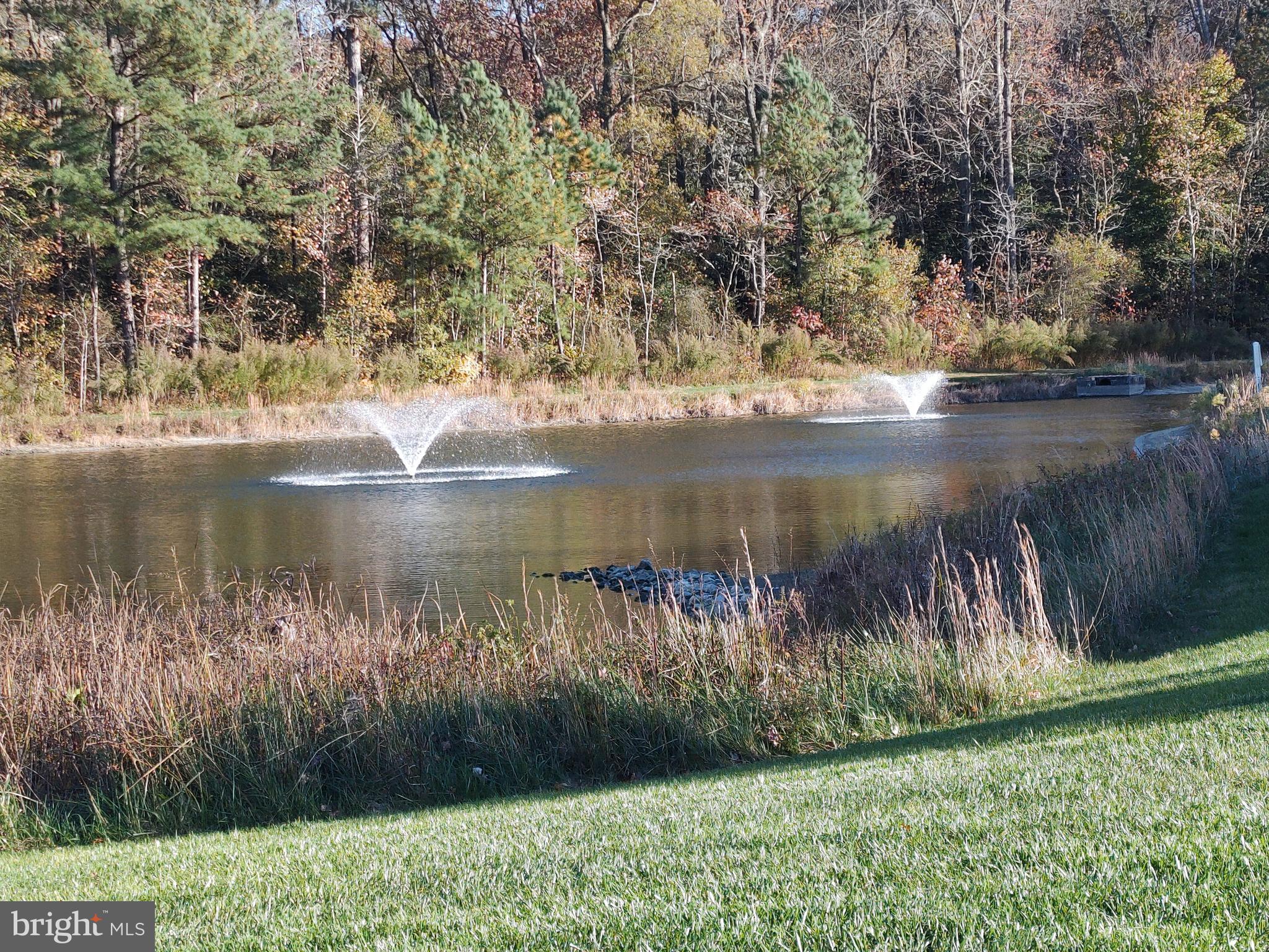 2 Castleberry Lane Georgetown, DE 19947 - Photo 12 of 46 a view of a lake from a yard