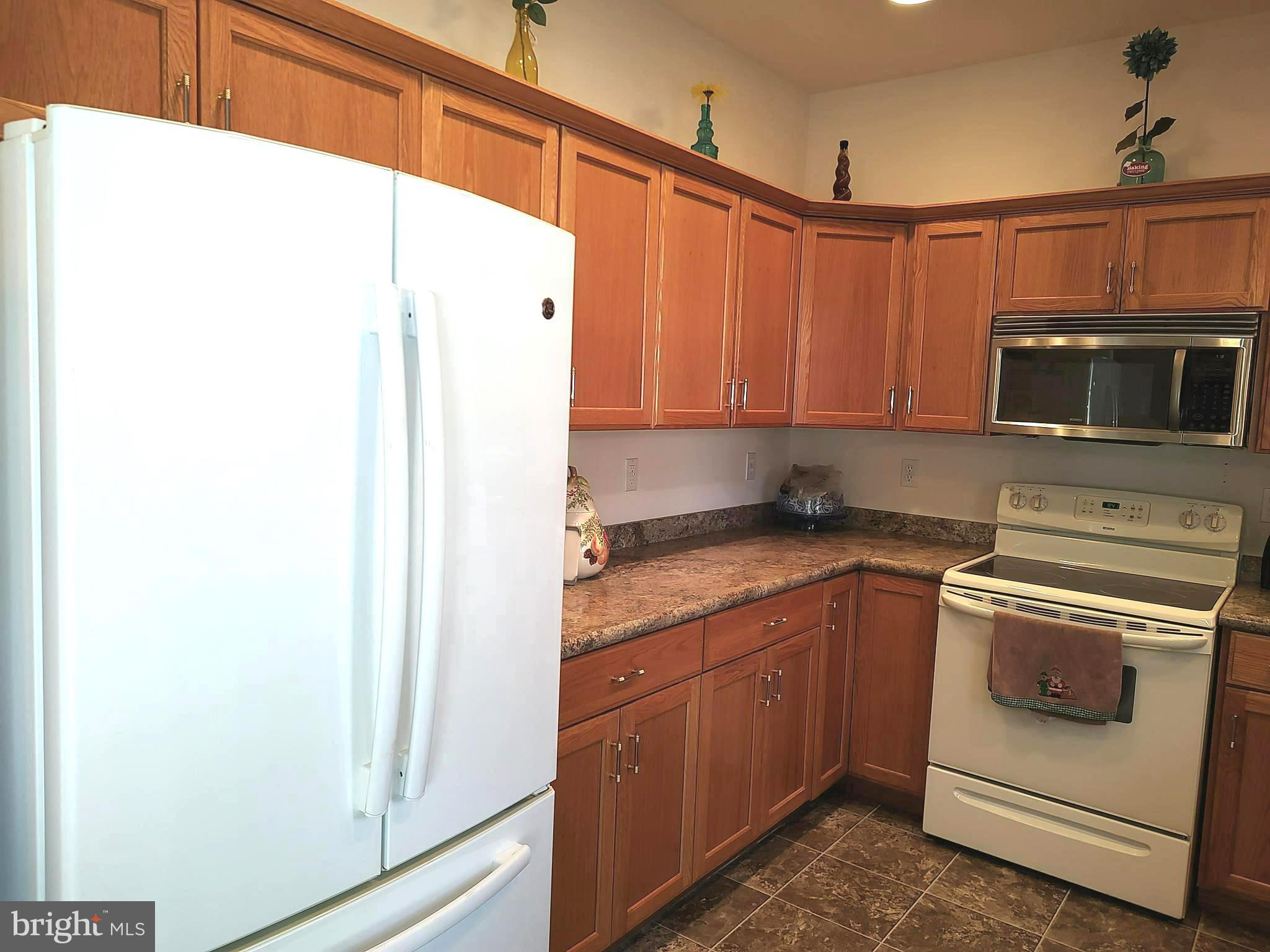 2 Castleberry Lane Georgetown, DE 19947 - Photo 20 of 46 a kitchen with a refrigerator stove and microwave