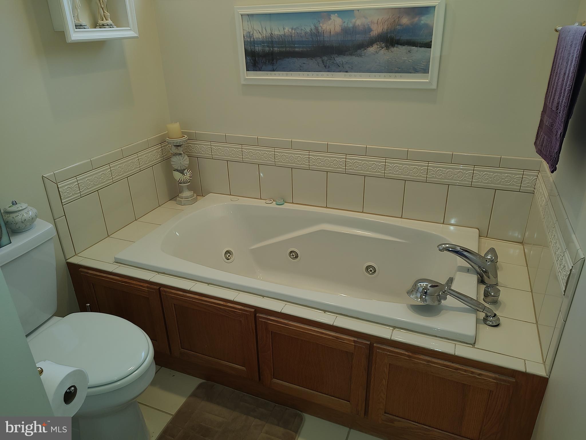 2 Castleberry Lane Georgetown, DE 19947 - Photo 27 of 46 a bathroom with a sink and a toilet