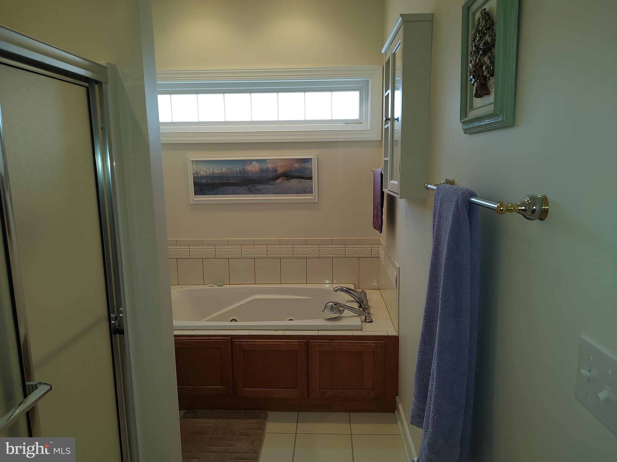 2 Castleberry Lane Georgetown, DE 19947 - Photo 28 of 46 a bathroom with a sink and a bathtub