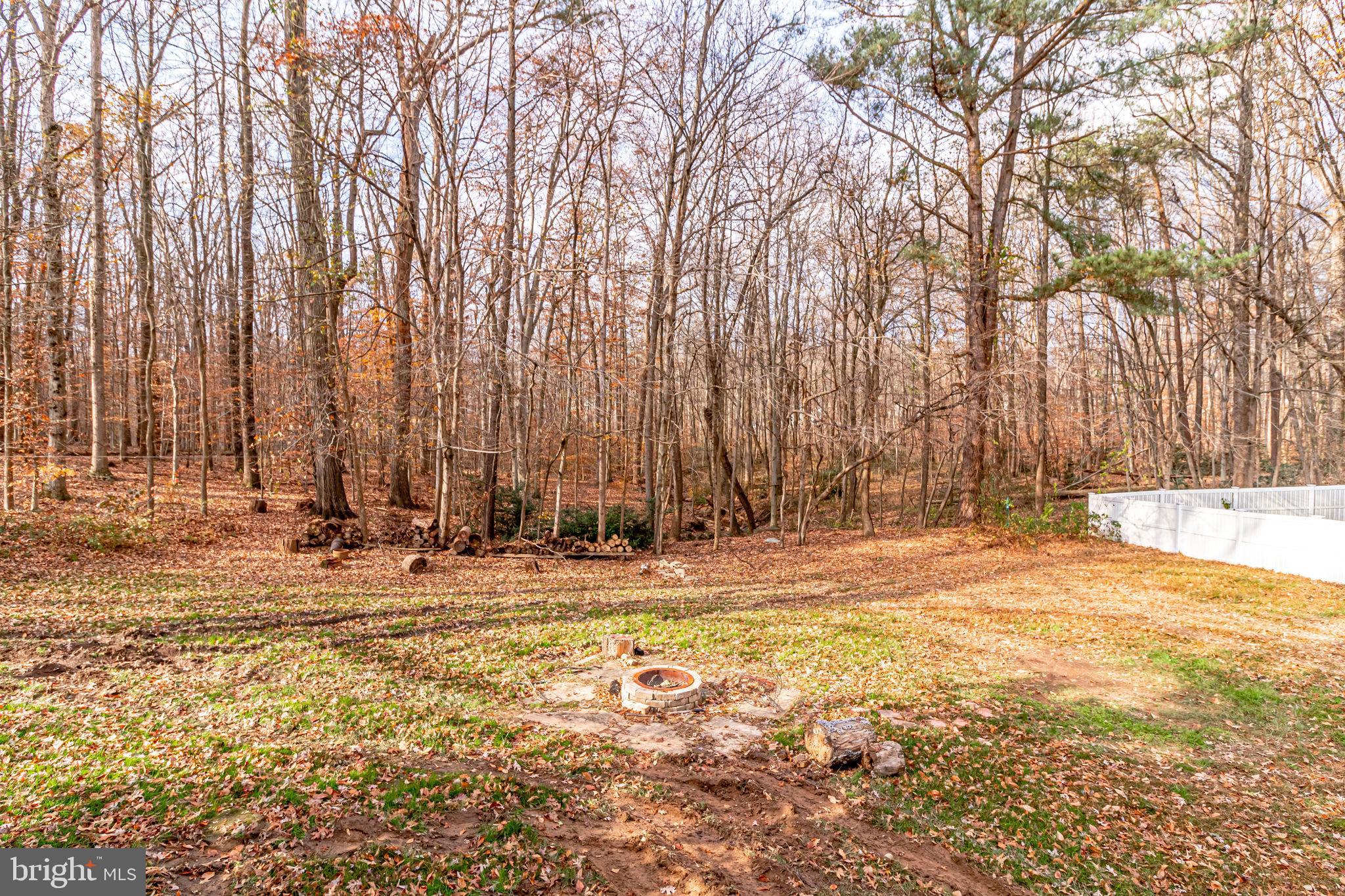 6955 Conservation Drive Springfield, VA 22153 - Photo 30 of 30