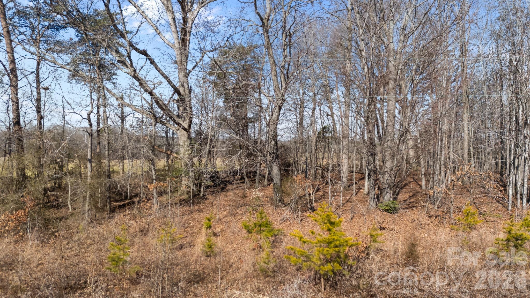 0 Georgia Road Mocksville, NC 27028 - Photo 23 of 23 Gallery Image 23