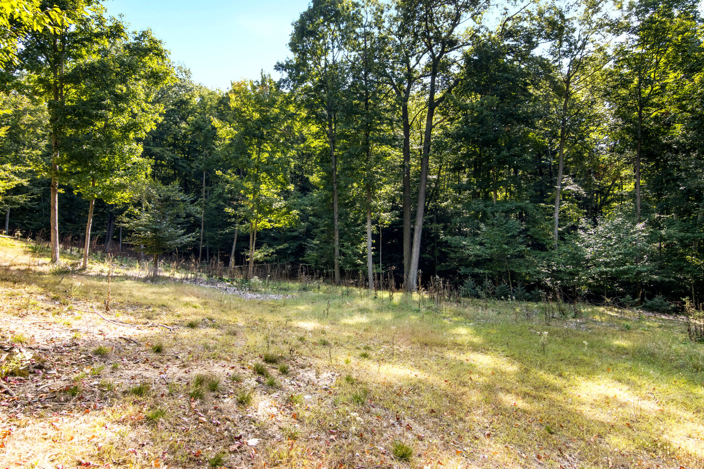 V/l Lakeshore Road Manistee, MI 49660 - Photo 8 of 18 16-Scene-10