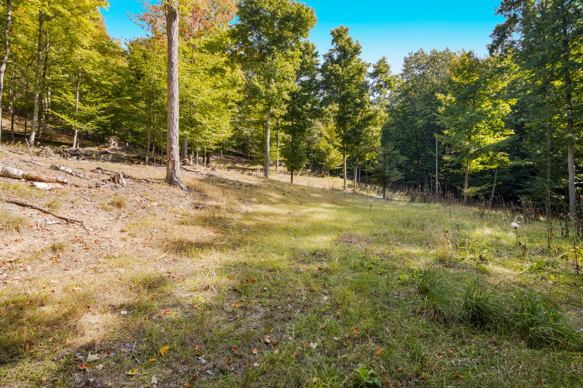 V/l Lakeshore Road Manistee, MI 49660 - Photo 10 of 18 13-Scene-7