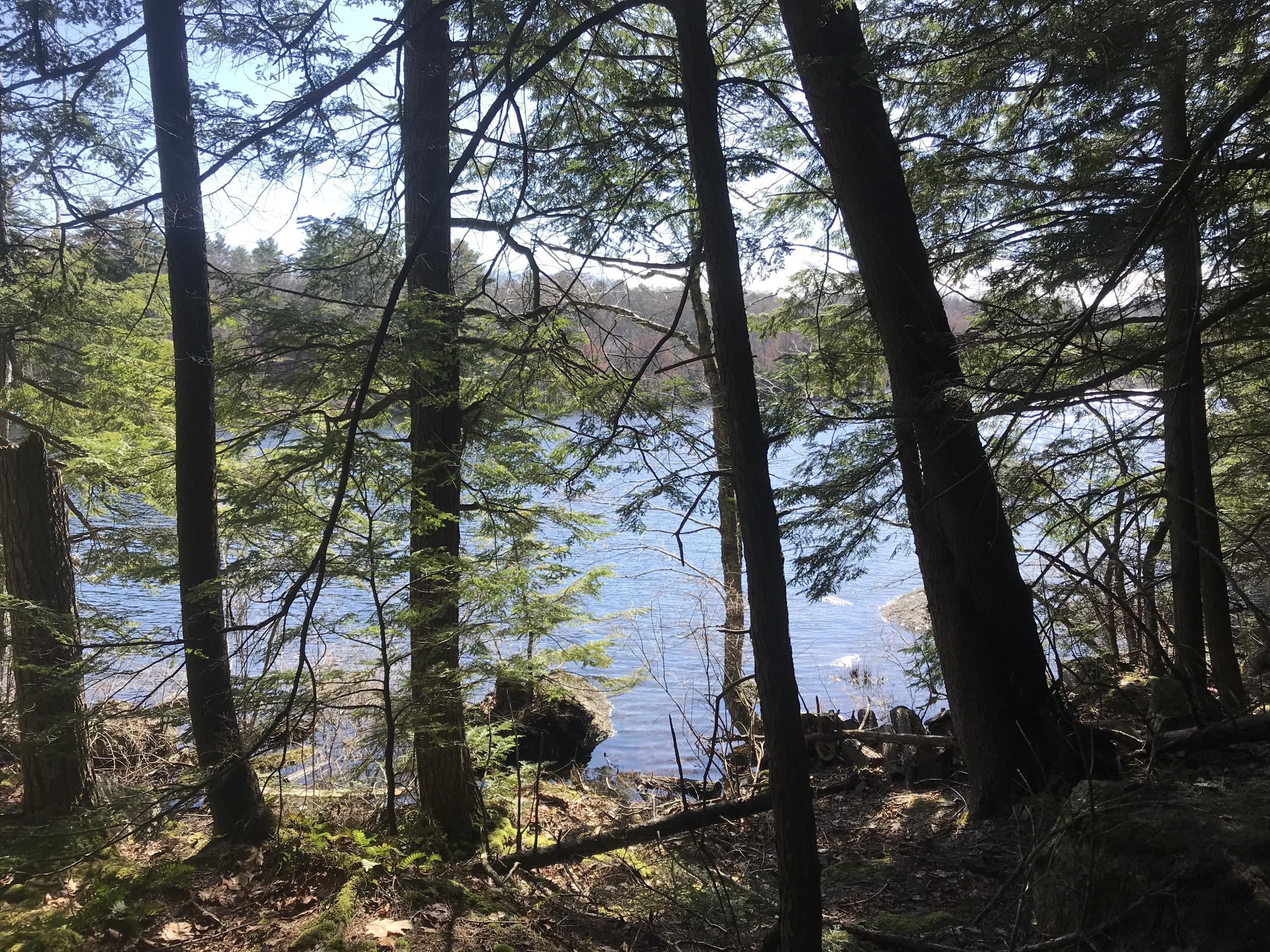 0 Fitts Mountain Road Dedham, ME 04429 - Photo 23 of 83 OOQUUJr%RUmd7DcdMOsF4Q