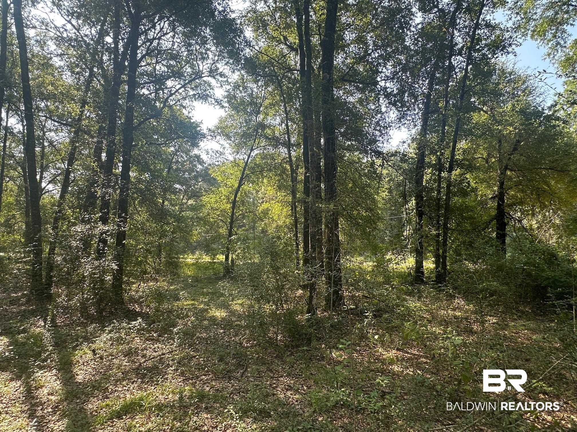 0 Danner Road East Wilmer, AL 36587 - Photo 9 of 13 View of woods