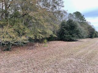7.8-acres Deer Stand Road Wagener, SC 29164 - Photo 14 of 14