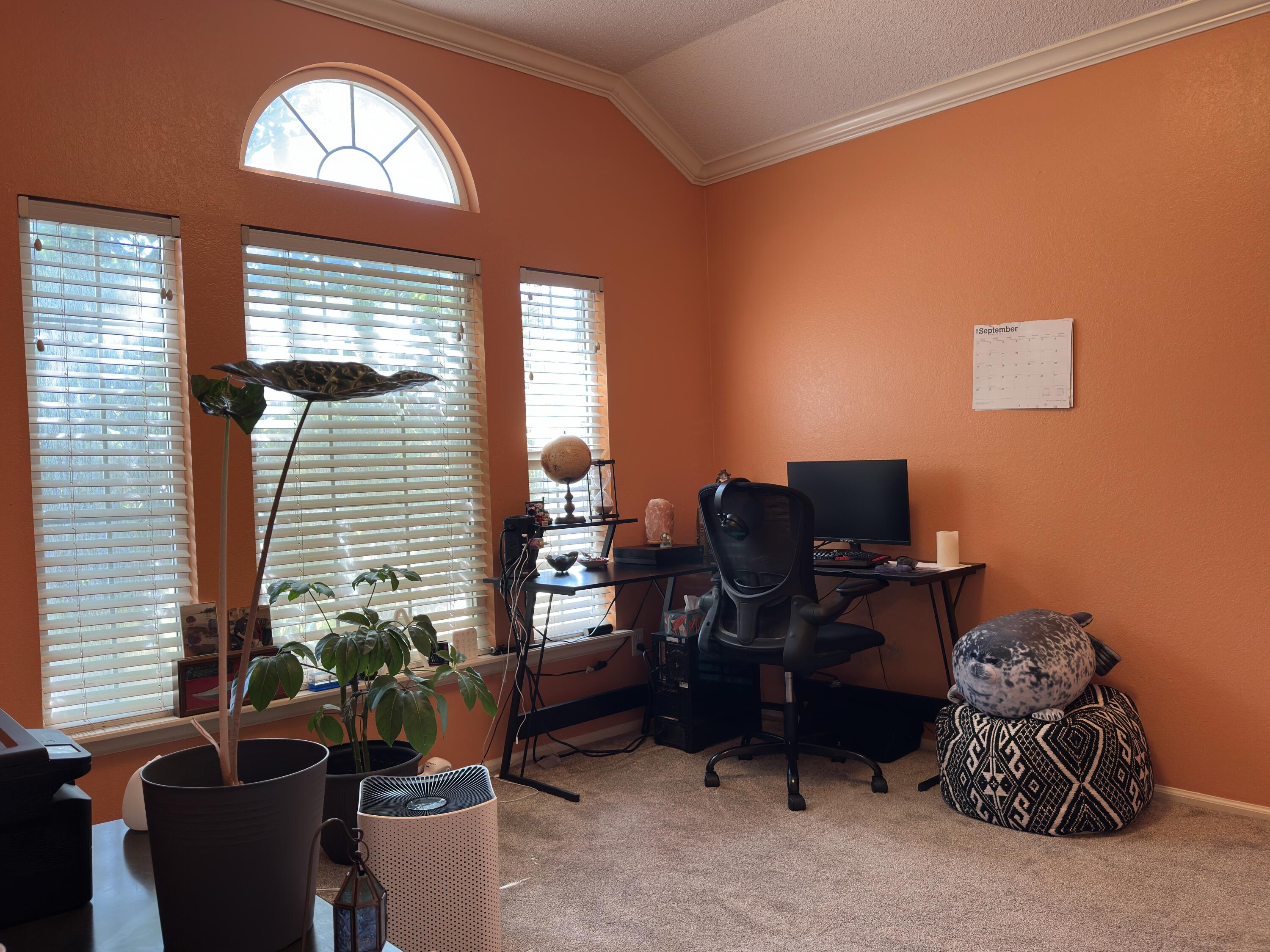 4902 103rd Street Lubbock, TX 79424 - Photo 12 of 23 a view of workspace with a window