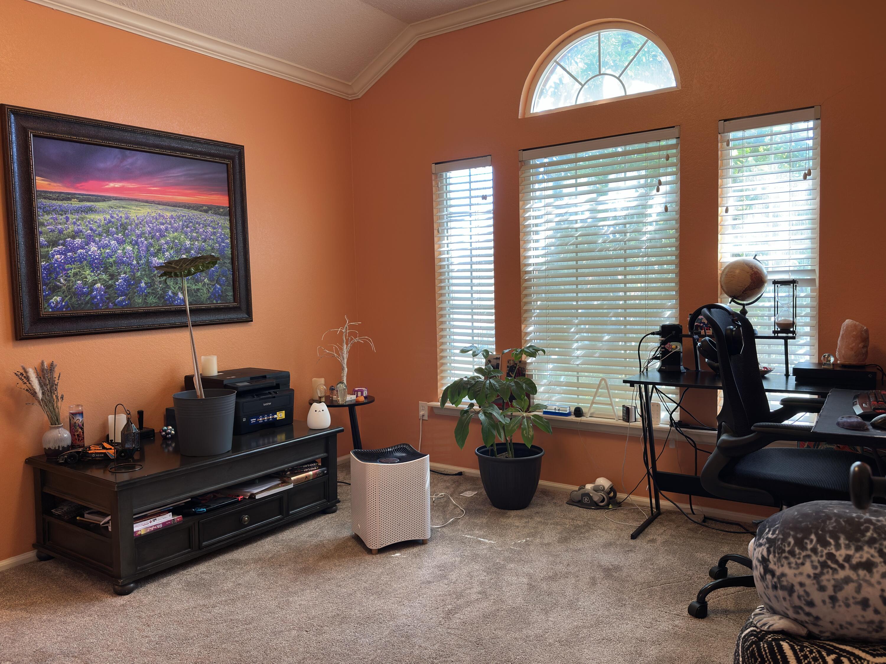 4902 103rd Street Lubbock, TX 79424 - Photo 13 of 23 a living room with furniture a rug and a window
